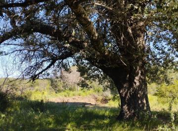 Terreno · 2000m² · Lote de 2000 m² en Tanti en un Excelente Entorno