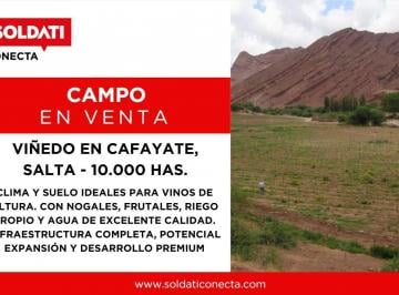 Campo · 100000000m² · Finca
