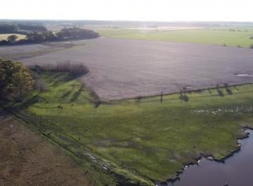 Campo · 520000m² · Campo en Venta 52,8 Hectares en "El Espinillo"