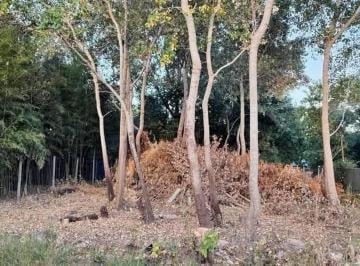 Terreno · 692m² · Terreno en Venta Campana