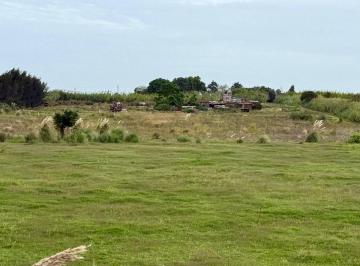 Terreno · 40000m² · Venta Polo Logístico Cno Buffa Superficie 40000 m²