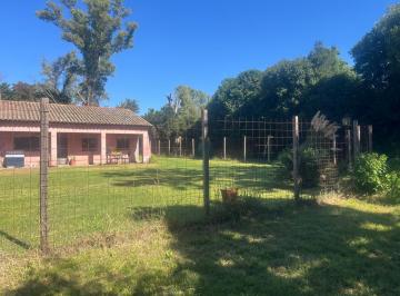 INGRESO INDEPENDIENTE CASA DE HUESPEDES · Quinta en Calle Saravi