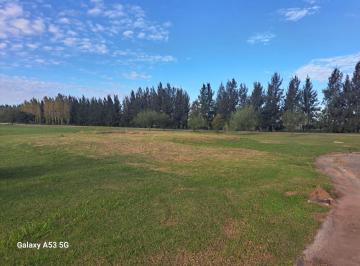 Terreno , Esteban Echeverría · Gran Lote en La Providencia