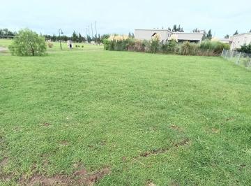Terreno · 6400000m² · Venta o Permuta de Lote Exclusivo. Horizontes Al Sur Canning