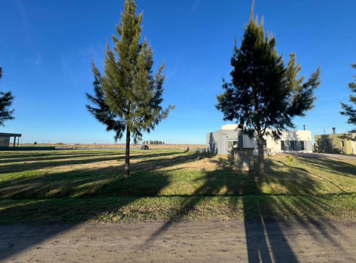 Terreno · 1266m²