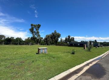 Terreno · 582m² · Venta Terreno en Barrio Santa Elisa Pilar del Este