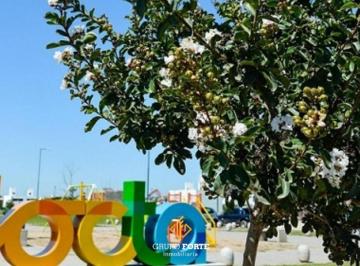 Terreno · 266m² · Lote en Venta Docta - Apto Duplex - Entrega 2026