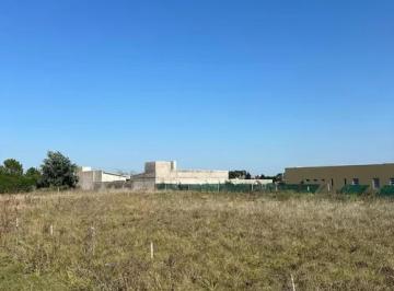 Terreno · 500m² · Terreno en Venta - 500 m² - Necochea
