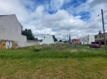 Terreno · 490m² · Terreno en Adrogue Venta