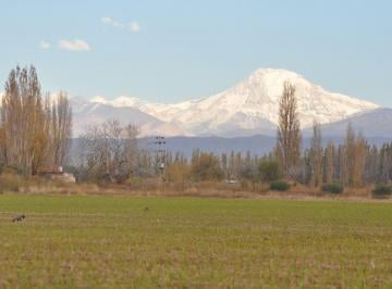 Terreno , Vistalba · Venta 28 Hectáreas en Vistalba