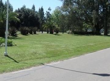Terreno · 750m² · Terreno en Venta - 750 m² - Guernica
