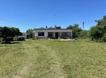 Campo · 120ha · Venta Chacra 6ha R11 Entre Santa Lucia y Canelones