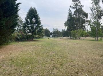 Terreno · 1420m² · Terreno Venta 1.420 m² Totales - Club Miralagos