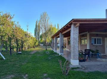 Casa · 234m² · 4 Ambientes · Casa en General Roca