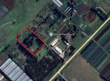 Terreno · 25000m² · Fraccion de Campo 2 y 1/2 Ha - Zona Boqueron - Mar del Plata - Alquiler