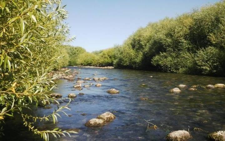 Campo · 20000m²