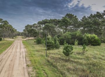 Terreno · 1080m² · Lote en Venta Pinamar Bosques