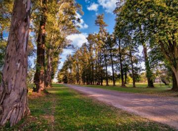Terreno · 1000m² · Lote en Venta en Villa de Campo Los Tres Pinos