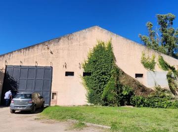 Bodega-Galpón · 2400m² · 10 Cocheras · 3 Naves de 1200 m² - Juntas o Separadas