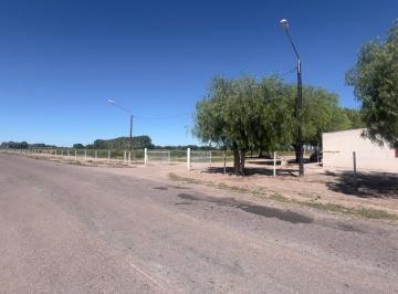 Campo de 11 ambientes, San Martín · Urgente Oportunidad Finca Divisadero San Martin