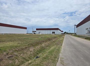 Terreno · 1000m² · Alvear Avant Oportunidad 3 Terrenos de 1000 m