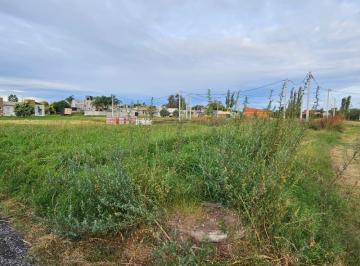 FAE-FAE-767_2 · Lote. | Freyre