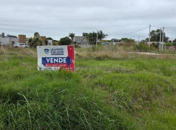 FAE-FAE-767_2 · Lote. | Freyre
