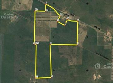 Terreno · 39000000m² · Campo/lote Sobre Ruta Nacional 16, Apto Explotación