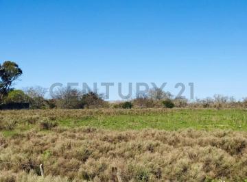 Campo · 398275008m² · Fracción en Venta, Los Talas