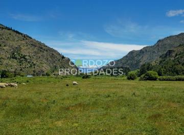 Campo , El Hoyo · 10 Hectáreas en Desemboque, El Hoyo. (108.000 M&sup2;)