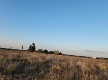 Campo , La Consulta · Finca en Venta