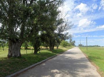 Terreno · 33815m² · Terreno Comercial Logistica. Lote 33.800 m². Venta. Campana, Ruta 6