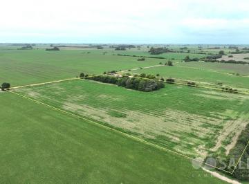 Campo · 100000m² · Chacra con Mejoras en Areco