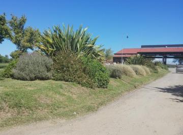 Terreno · 2250m² · Lote en Venta en Barrio Estación del Carmen, con Escritura.