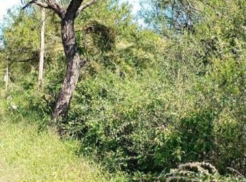 Terreno · 790m² · Vendo Terreno en Villa Las Rosas