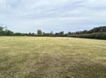 Terreno · 26000m² · Terreno Fraccion en Alquiler en Manzanares, Pilar, G. B. a. Zona Norte