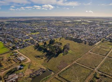 Campo · 373m² · 4 Ambientes · Venta - Chacra de 7 Ha - Batan
