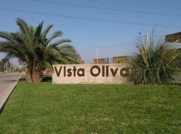 Casa · 160m² · 8 Ambientes · 1 Cochera · Casa en Venta 3 Dorm.. Maipú, Mza