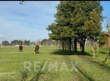 Terreno · 5000m² · Venta Lote Haras El Malacate Exaltación de La Cruz