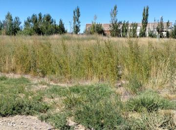 Terreno · 288m² · Venta Lotes Don Federico Allen