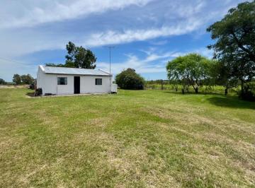 Campo · 60ha · Venta Campo 11 Hectáreas, Ruta 6 en San Bautista