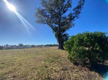 Terreno · 4743m² · Lote de 50 Mx95 m en Zona Carrefour