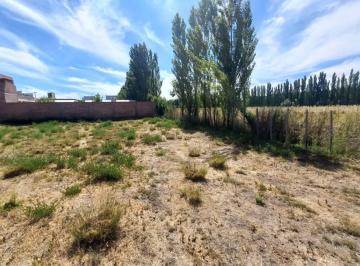 Terreno · 379m² · Terreno en en Venta, en Fernandez Oro, Loteo La Emilia