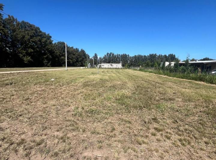 Terreno · 1000m²