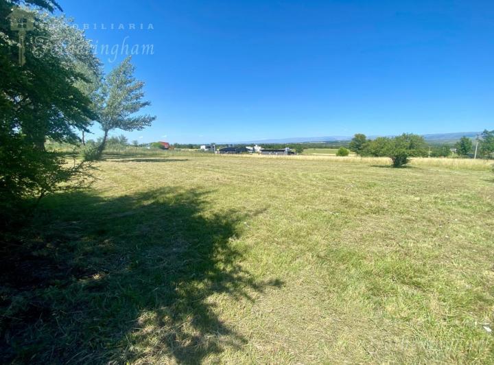 Terreno · 1000m²