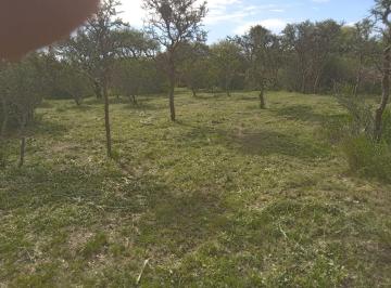 Terreno · 9650m² · Cortaderas, Terreno 9.650 m² Ideal Uso Turístico