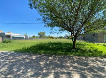 CTS-CTS-38_2 · Lote. | Panama Al 2000