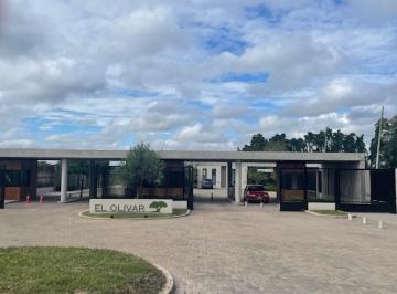 Terreno · 379m² · Tel Olivar