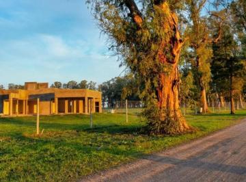 Terreno · 1246m² · Venta Lote en General Rodríguez