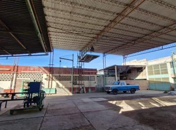 Bodega-Galpón · 740m² · Venta Gaplón/depósito con Casa, Cipolletti